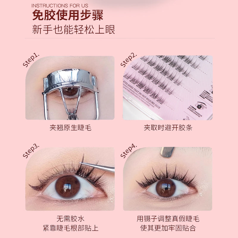Camellia Eyelash Instruction